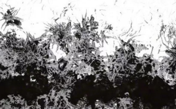 貧鉻導(dǎo)致的晶間腐蝕 貧鉻導(dǎo)致的晶間腐蝕