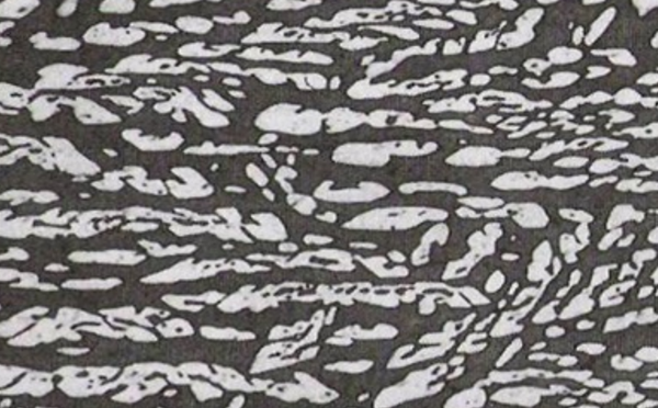 白色的奧氏體和灰黑色的鐵素體 白色的奧氏體和灰黑色的鐵素體